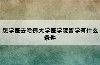 想学医去哈佛大学医学院留学有什么条件