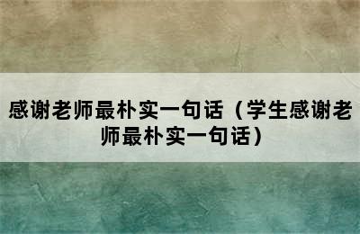 感谢老师最朴实一句话（学生感谢老师最朴实一句话）