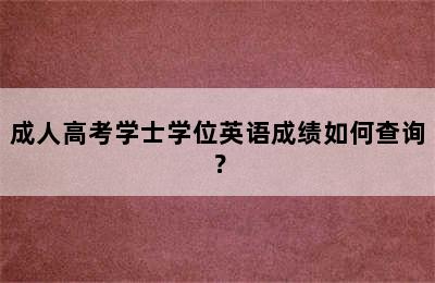 成人高考学士学位英语成绩如何查询？