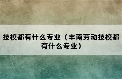 技校都有什么专业（丰南劳动技校都有什么专业）