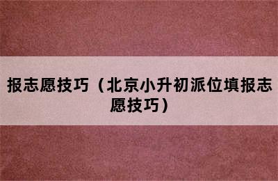 报志愿技巧（北京小升初派位填报志愿技巧）