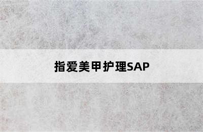 指爱美甲护理SAP