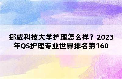 挪威科技大学护理怎么样？2023年QS护理专业世界排名第160