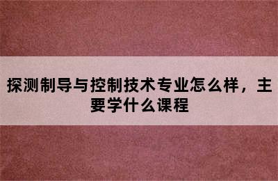 探测制导与控制技术专业怎么样，主要学什么课程