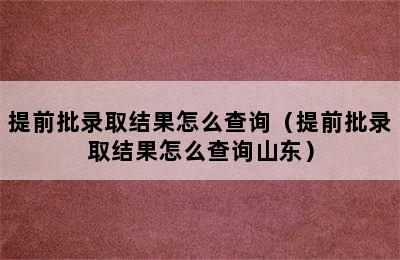 提前批录取结果怎么查询（提前批录取结果怎么查询山东）