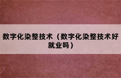 数字化染整技术（数字化染整技术好就业吗）