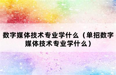 数字媒体技术专业学什么（单招数字媒体技术专业学什么）