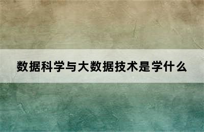 数据科学与大数据技术是学什么