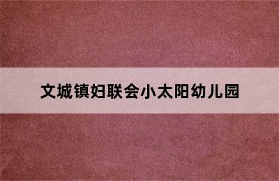 文城镇妇联会小太阳幼儿园