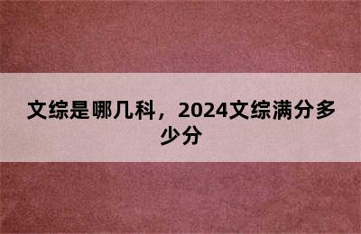 文综是哪几科，2024文综满分多少分