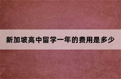 新加坡高中留学一年的费用是多少