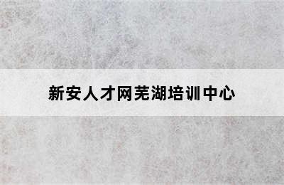 新安人才网芜湖培训中心