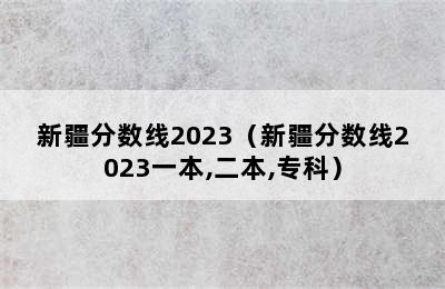 新疆分数线2023（新疆分数线2023一本,二本,专科）