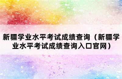 新疆学业水平考试成绩查询（新疆学业水平考试成绩查询入口官网）