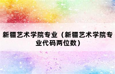 新疆艺术学院专业（新疆艺术学院专业代码两位数）