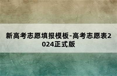 新高考志愿填报模板-高考志愿表2024正式版