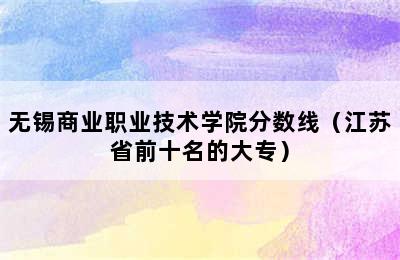 无锡商业职业技术学院分数线（江苏省前十名的大专）