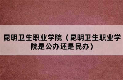 昆明卫生职业学院（昆明卫生职业学院是公办还是民办）