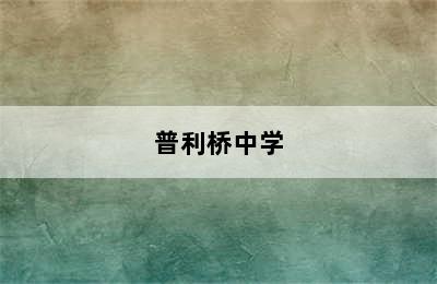 普利桥中学