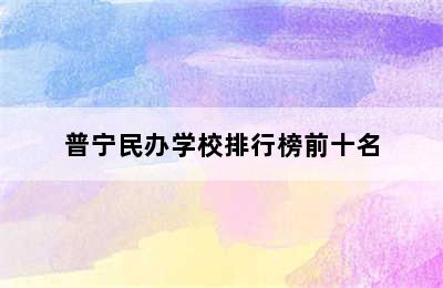 普宁民办学校排行榜前十名