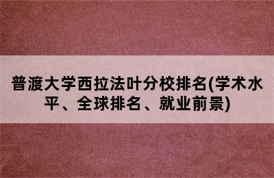 普渡大学西拉法叶分校排名(学术水平、全球排名、就业前景)