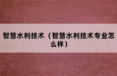 智慧水利技术（智慧水利技术专业怎么样）