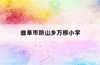 曲阜市防山乡万柳小学