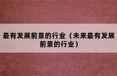 最有发展前景的行业（未来最有发展前景的行业）