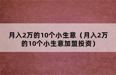 月入2万的10个小生意（月入2万的10个小生意加盟投资）