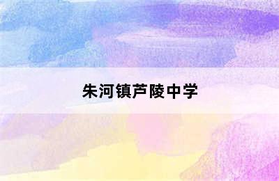 朱河镇芦陵中学