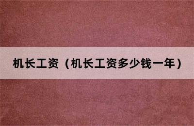 机长工资（机长工资多少钱一年）
