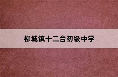 柳城镇十二台初级中学