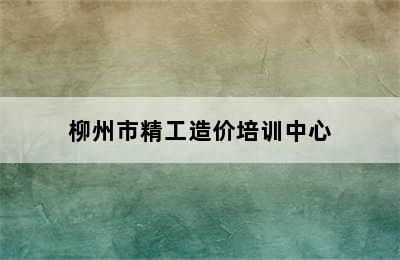 柳州市精工造价培训中心