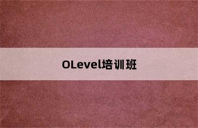 株洲新加坡公立学院留学预科A/OLevel培训班