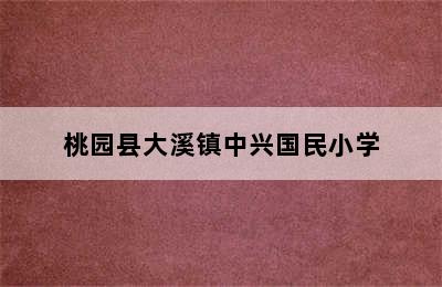 桃园县大溪镇中兴国民小学