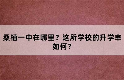 桑植一中在哪里？这所学校的升学率如何？