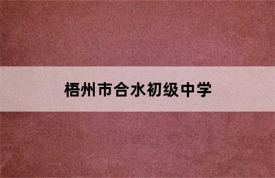梧州市合水初级中学