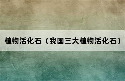 植物活化石（我国三大植物活化石）