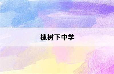 槐树下中学