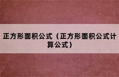 正方形面积公式（正方形面积公式计算公式）