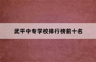 武平中专学校排行榜前十名