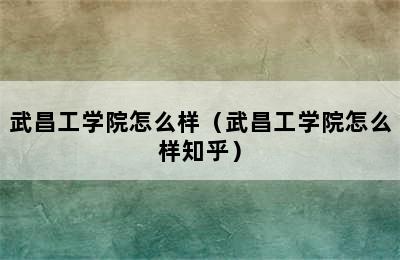 武昌工学院怎么样（武昌工学院怎么样知乎）