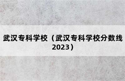 武汉专科学校（武汉专科学校分数线2023）