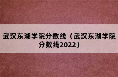 武汉东湖学院分数线（武汉东湖学院分数线2022）