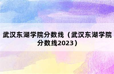 武汉东湖学院分数线（武汉东湖学院分数线2023）