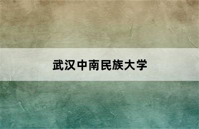 武汉中南民族大学