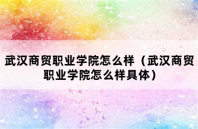 武汉商贸职业学院怎么样（武汉商贸职业学院怎么样具体）