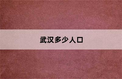 武汉多少人口