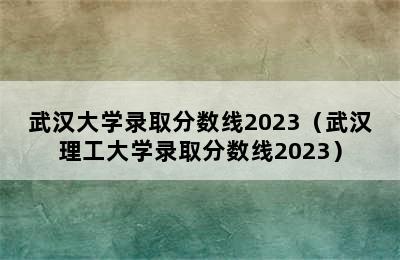 武汉大学录取分数线2023（武汉理工大学录取分数线2023）