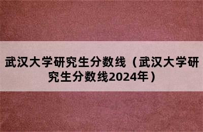 武汉大学研究生分数线（武汉大学研究生分数线2024年）